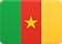 Bandera de Camerún