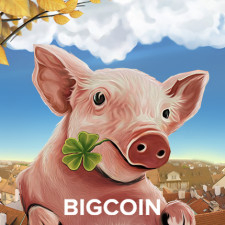 Bigcoingambling.com review