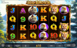 NEW SLOT RELEASES | Big Brown