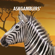 Review from askgamblers.com