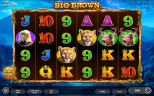 NEW SLOT RELEASES | Big Brown
