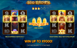 NEW SLOT RELEASES | Big Brown