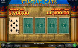 PREMIUM MYSTIC SLOTS 2025 | Try TEMPLE CATS GAME now!
