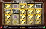 TOP FRUIT SLOTS 2025 | Try WILD FRUITS SLOT now!
