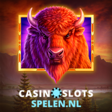 casinoslotsspelen.nl