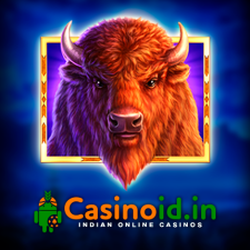 review from Casinoid