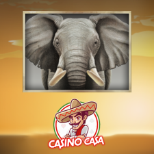Review from Casino.Casa