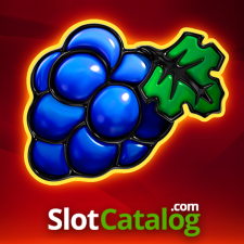 Slotcatalog