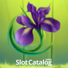 Review from Slotcatalog