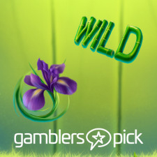 Review from gamblers pick