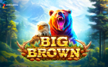NEW SLOT RELEASES | Big Brown
