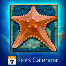 SlotsCalendar
