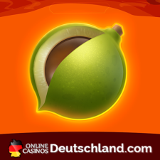 review From onlinecasinosdeutschland.com