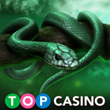 From: top-casino.nl